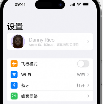 遂溪appleID维修服务iPhone设置中Apple ID显示为灰色无法使用