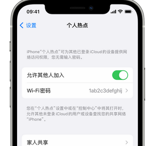 遂溪apple服务站点分享iPhone上个人热点丢失了怎么办 