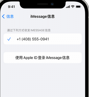 遂溪apple维修iPhone上无法正常发送iMessage信息 