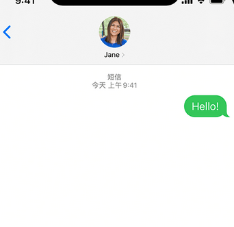 遂溪apple维修iPhone上无法正常发送iMessage信息