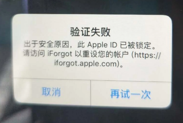 遂溪iPhone维修分享iPhone上正常登录或使用AppleID怎么办 