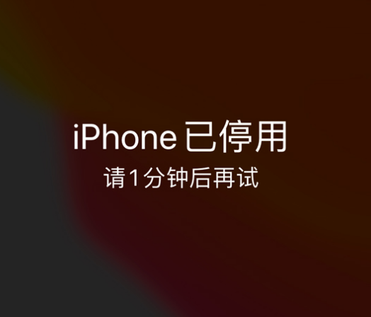 遂溪苹果手机维修分享:iPhone 显示“不可用”或“已停用”怎么办？还能保留数据吗？ 