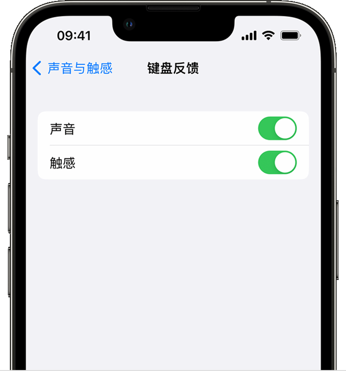 遂溪苹果14维修店分享如何在 iPhone 14 机型中使用触感键盘 