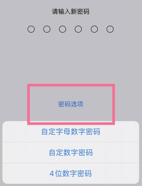 遂溪苹果14维修分享iPhone 14plus设置密码的方法 