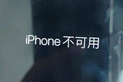 遂溪苹果服务网点分享锁屏界面显示“iPhone 不可用”如何解决 