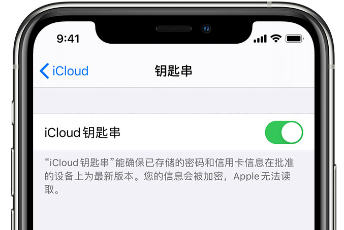 遂溪苹果手机维修分享在 iPhone 上开启 iCloud 钥匙串之后会储存哪些信息 