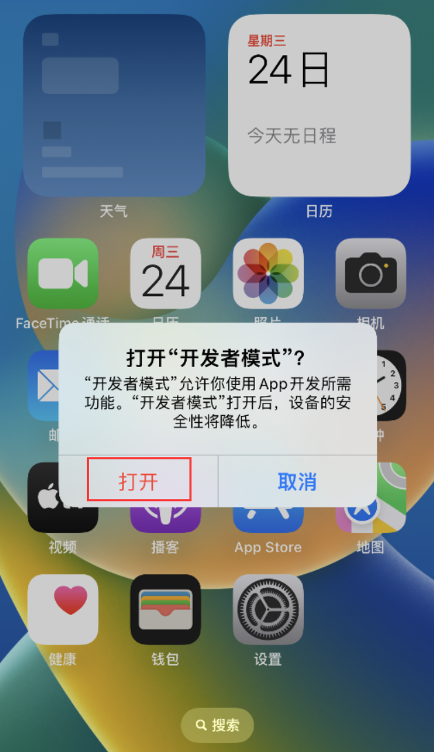 遂溪苹果手机维修分享如何打开开发者模式 