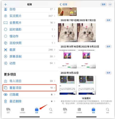 遂溪苹果手机维修分享iOS 16 中相册重复项目功能使用方法 