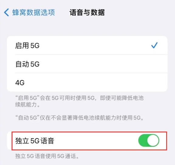 遂溪苹果14维修分享iPhone 14 Pro如何开启VoNR 
