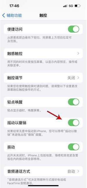 遂溪苹果手机维修分享iPhone手机如何设置摇一摇删除文字 