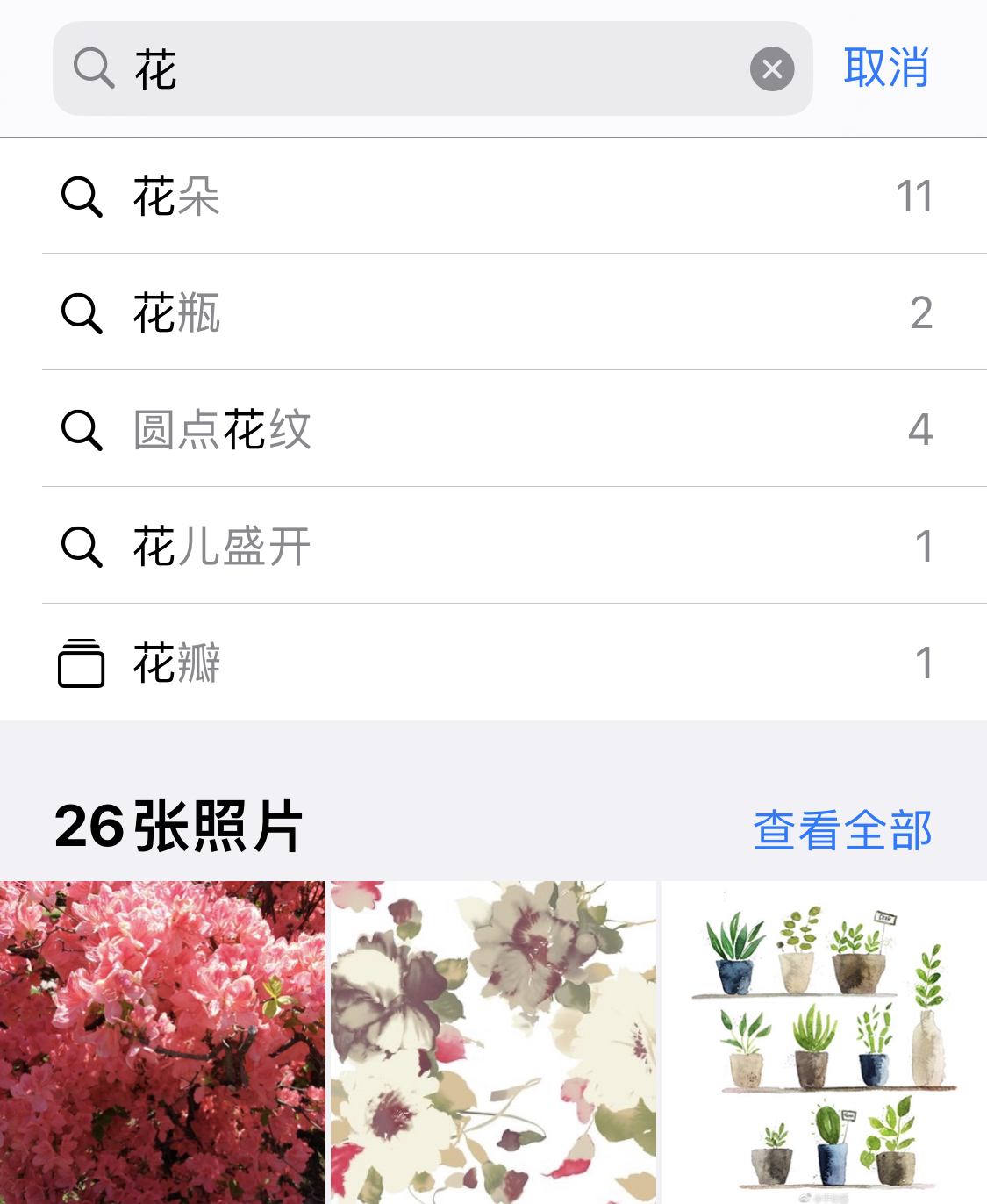 遂溪苹果手机维修分享iPhone 小技巧 