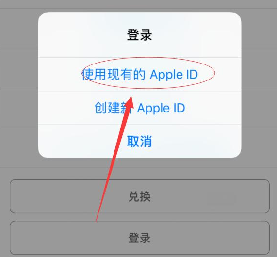 遂溪苹果手机维修分享两台iPhone设备可以同时登录一个Apple ID吗 