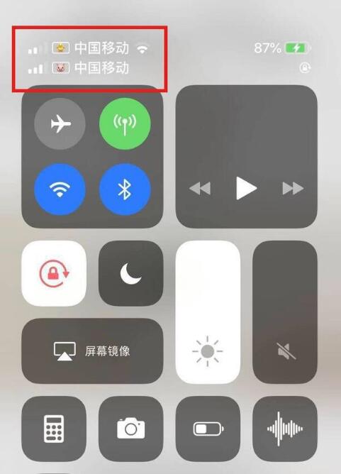 遂溪苹果手机维修分享为 iPhone 12 双卡设置标签 