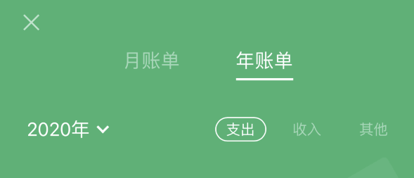 遂溪苹果手机维修分享如何在 iPhone 上查看支付宝和微信年支出账单 